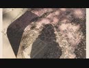 『浮遊する春に』／ ナカガワノリコ