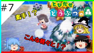 【とびだせどうぶつの森】 #7村人最強説。