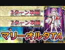 【FGO】マリーオルタの白紙化地球クエストTA
