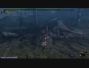 【MHF】第34回韋駄天杯　毒軍団高速討伐！弓部門3鯖1位