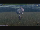 【MHF】第48回韋駄天杯　桃毛獣高速討伐！弓部門3鯖4位