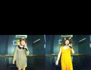 愛が見えない／ZARD