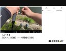 七原くん「らいきま」【2024/4/28】