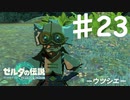 【初見実況】 第二三話　ウツシエ　【 ゼルダの伝説 ティアーズオブザキングダム 】