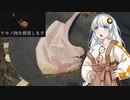 ドラゴンズドグマ2の肉焼きが気になるあかりちゃん【第四回10秒動画祭】
