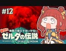 【ゼルダの伝説 TotK】ついにティアキンを壊した執政官ちゃん#12