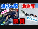 満己の皮にTN♪落＆急謝。面で代弁して限貝到来(7095110年お正水)