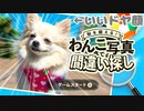 【VOICEVOX】ボイボの方の冥鳴ひまりさんがわんこ写真で間違い探しをするようです