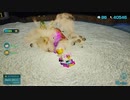 【ゆっくり実況】ぴくみん4！　その九十一