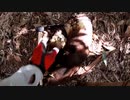 (毎年恒例になった強制チルタイム期間突入ｗ)変態忍者の、有害鳥獣駆除従事活動記・その２８２