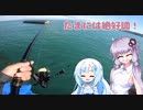 【VOICEROIDフィッシング】釣れる釣りが一番楽しい【フカセ釣り】