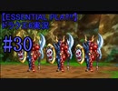 【ESSENTIAL PLAY!!】ドラクエ6実況_30