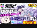 【シャニマス】【S.T.E.P.編】【初見実況】オカマな妖怪PとS.T.E.P.!! 福丸小糸 編 part512【Vtuber】【実況】