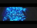 ルミネセンス / 初音ミク