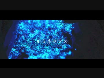 ルミネセンス / 初音ミク