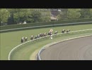 2013 京都新聞杯(GII)　キズナ