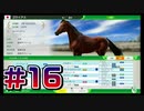 【ウイニングポスト10 2024 】こっちでめざせ！G1全制覇！ウイニングポスト10 2024＃16【実況プレイ】