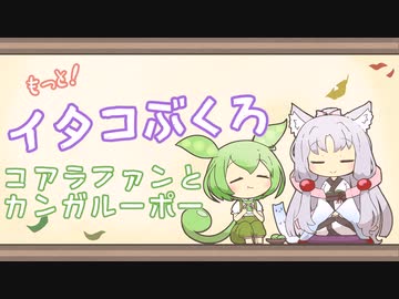 【一口雑学】もっと！イタコぶくろ27【コアラファンとカンガルーポー】