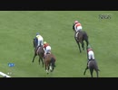 2024/03/24 東京11R 第31回 テレビ東京杯青葉賞(G2/3歳オープン) シュガークン