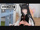 VRC、これをお前のV感に塗ったら、お前のV感がほぐれてしまうなあ.aac2