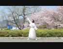 【きみどり】さようなら、花泥棒さん【踊ってみた】