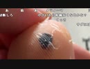 【勇者トロ】俺悪い病気なんか？。2024年4月14日