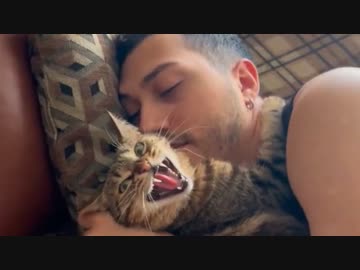 ホモと見る彼氏を猫に寝取られる女