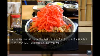 究極の牛丼を追い求めた末に・・・【牛丼男】