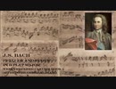 J.S.バッハ 前奏曲とフーガ 第21番 変ロ長調 WTC1 BWV 866 JS Bach prelude and fugue No.21 in B flat major, WTC1 BWV 866