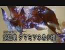 【モンスターハンターライズ】観測拠点「エルガド」に現れた古参MHG勢 Part51