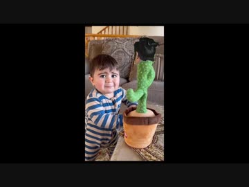 サボテンの正体が上様だと気付いた瞬間に泣き崩れる幼児