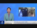 若年層のがん患者が急増