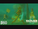 【ゼルダの伝説 Tears of the Kingdom】ビューラさあぁぁぁん‼【実況】#60