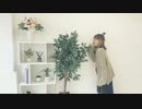 『オリジナル』NAME『Naho』