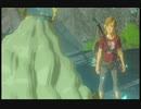 Nintendo Switch Wii U ゼルダの伝説 ブレスオブザワイルド プレイ動画 タイトル固定