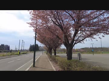 バイ活北海道２０２４＃１【バイク車載】