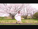 【みたたん】春に一番近い街　踊ってみた【桜】