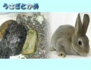 （ラジオ）KOTOKOノコト 第216回 08/08/16