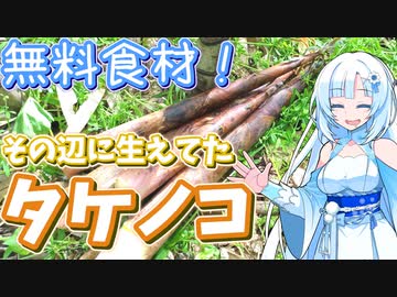 近所に生えてたタケノコ食べてみた！