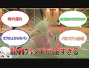 バンギ信者紲星あかりのランクマッチ　part.7