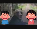 ホモと見るクマに襲われただけで叩かれてしまう人