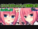 【エロゲ実況】343　愛する彼女とのセックスor愛する妹との夕食【ハミダシクリエイティブ】