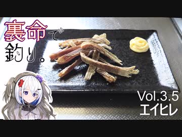 裏命で釣り。Vol.3.5「エイヒレ」