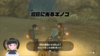 【ゼルダの伝説】周回遅れのティアキン Part114【TotK】