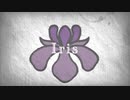 Iris / flower