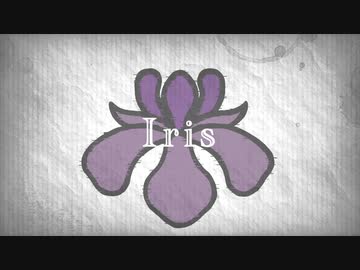 Iris / flower