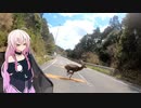 【IA車載】せんらい休暇日誌 Voy.007