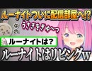 『うさぎをぎゅ～っ』に嫉妬するも昇進しつつあるルーナイトのぬいぐるみ【姫森ルーナ/ホロライブ切り抜き】