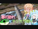 第22位：そらさんと釣りの思い出３５～春の訪れとテンカラ釣り～