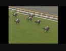 2004 ＮＨＫマイルカップ(GI)　キングカメハメハ